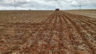 Soil Moisture Concerns Farmers Preparing To Plant Crops