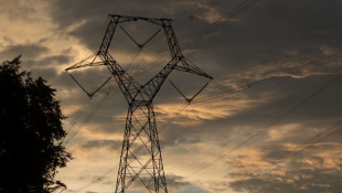 AES Indiana's parent company to go private in BlackRock-led $33B buy; Democrats decry