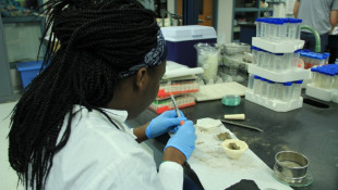 New IUPUI Program Analyzes Home Dust For Toxins