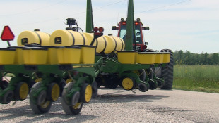 A Third Of Indiana's Corn Crop Is Unplanted: That's Better Than Expected