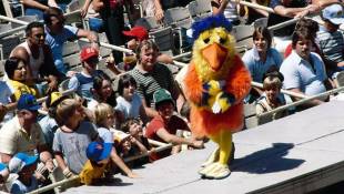 Organizers Kick Off Fundraising For Mascot Hall of Fame In Northwestern Indiana