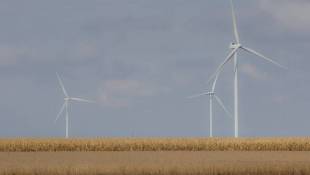 Climate Change Could Be Costlier For Farmers, Study Finds