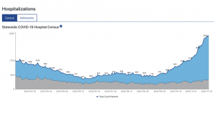 Indiana COVID-19 Hospitalizations Push To Another New High