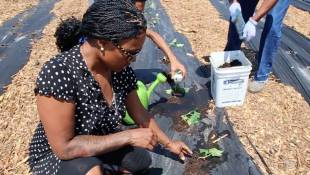 A Growing Movement Tries To Tackle An East Side Food Desert