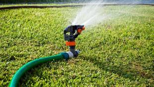 Wet Spring Prepared Indy For A Dry August