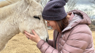 Farm-based activities can support mental wellness. Why aren't there more care farms in the U.S.?