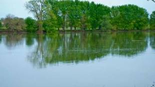 Recent Rains Lift Some Spirits, Dampen Others