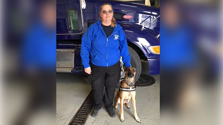 Hoosier Search/Rescue Dog Team Deployed In Response To California Fire Hoosier Search/Rescue Dog Team Deployed In Response To California Fire