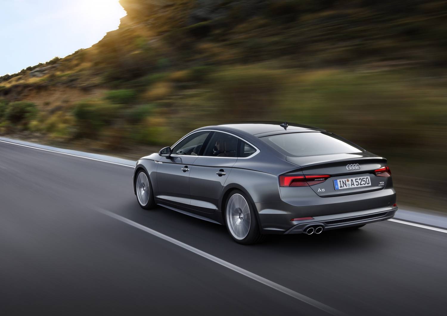 Wortel aanvaardbaar Ru Audi A5 Sportback Puts The Convenience In Coupe