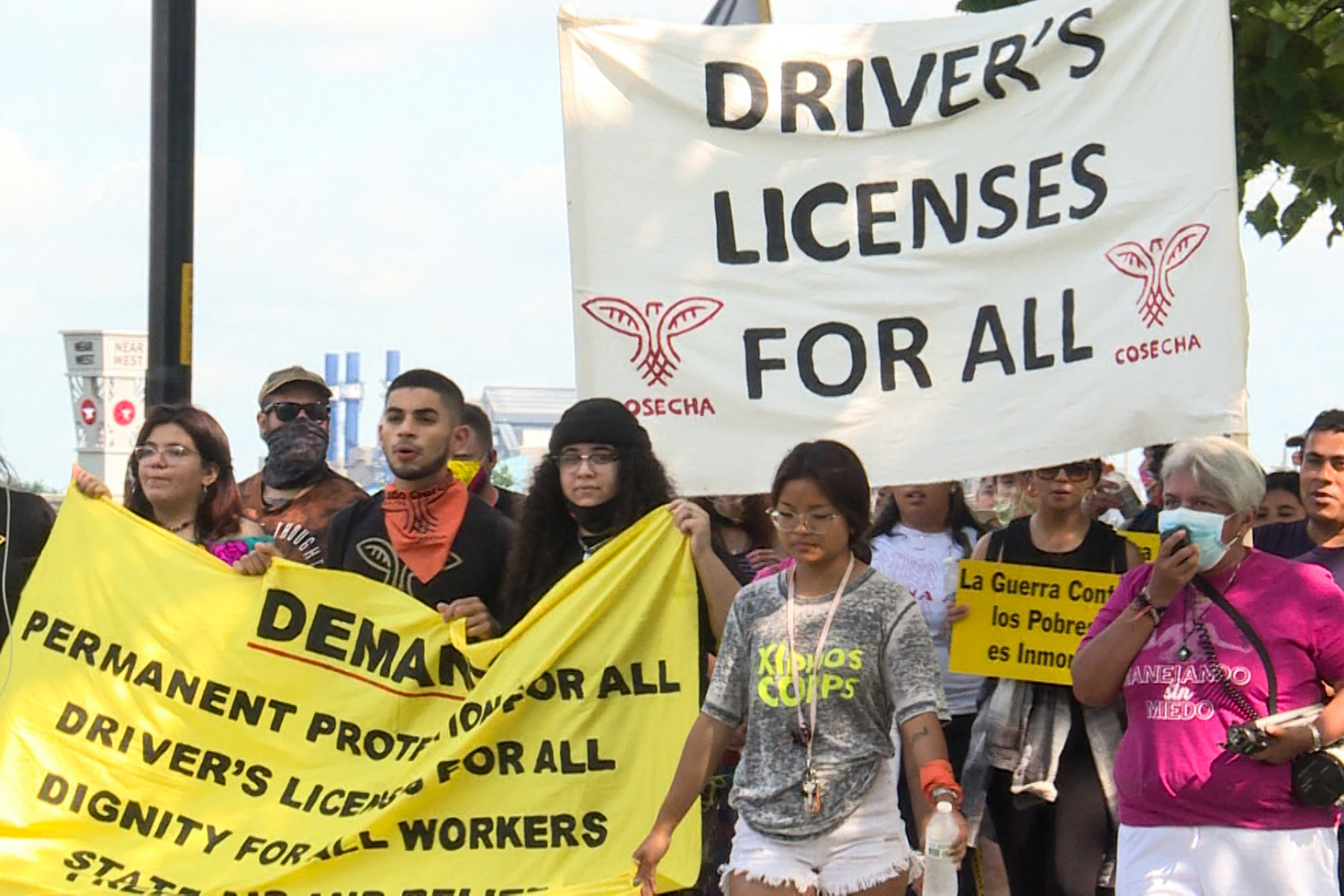 DRIVER'S LICENSES FOR UNDOCUMENTED IMMIGRANTS