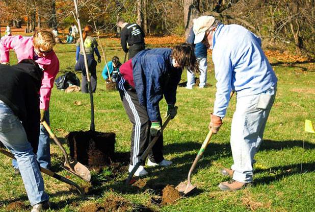 City Marks Milestone In Tree Plantings