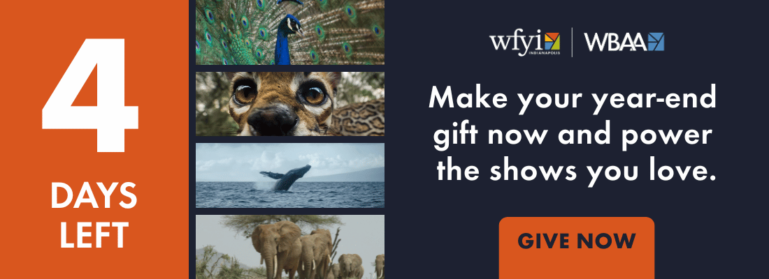 Make your year-end  gift now and power  the shows you love.