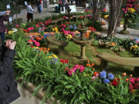 The Indiana Flower + Patio Show