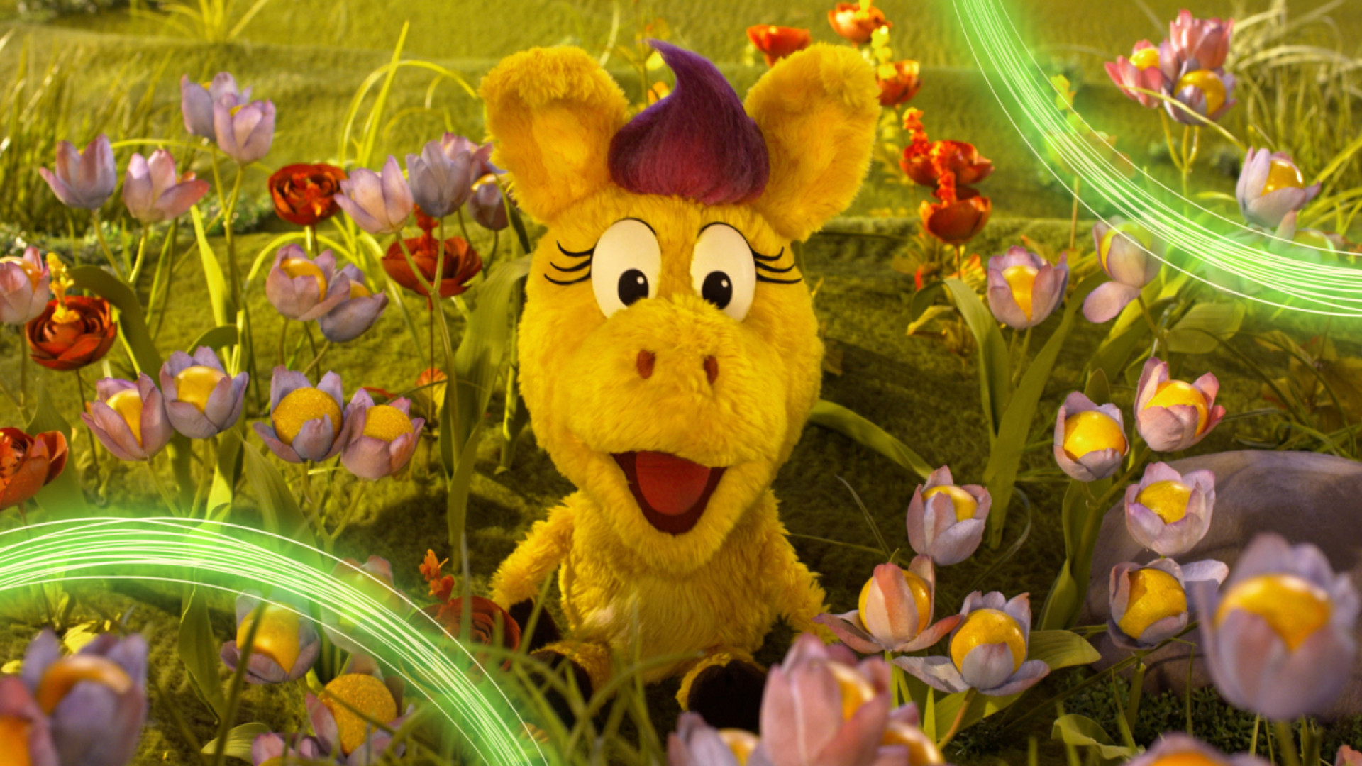 Donkey Hodie Camp Days at the College Avenue Library Branch