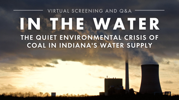 In the Water: Film and Panel Chat