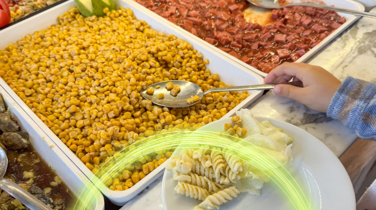 School Food Part 1: Economics and Policy