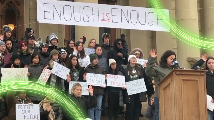 Youth Voices on Youth Gun Violence