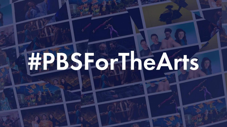 PBS For The Arts