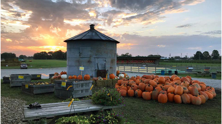 Harvest Festivals