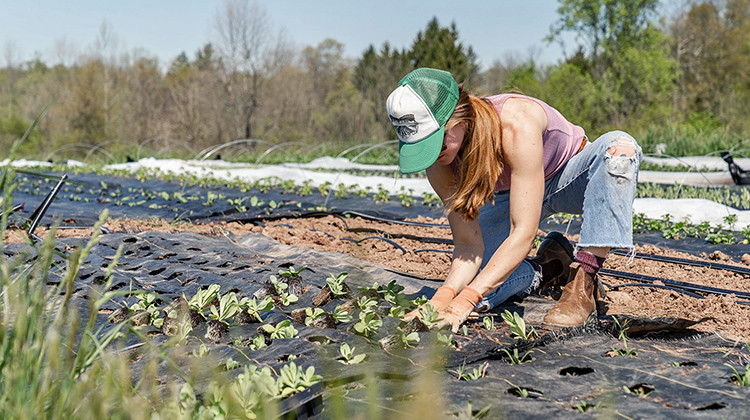 Environmental Efforts In Indiana