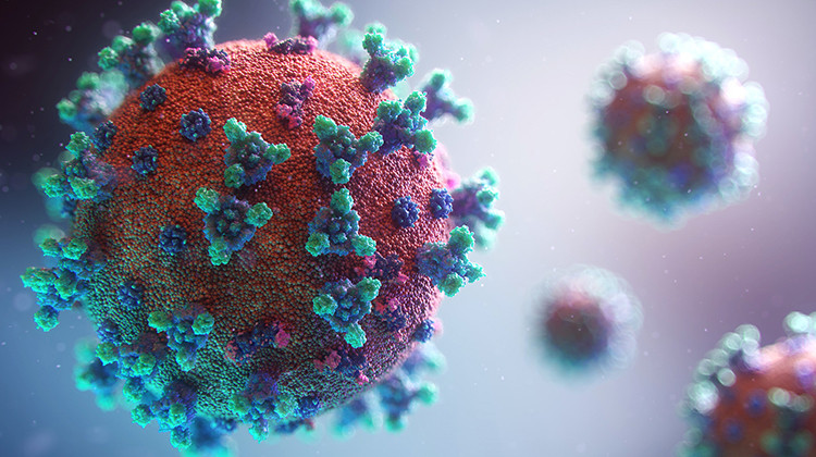 Fusion Medical Animation - Unsplash Feuds, COVID and Car Trouble