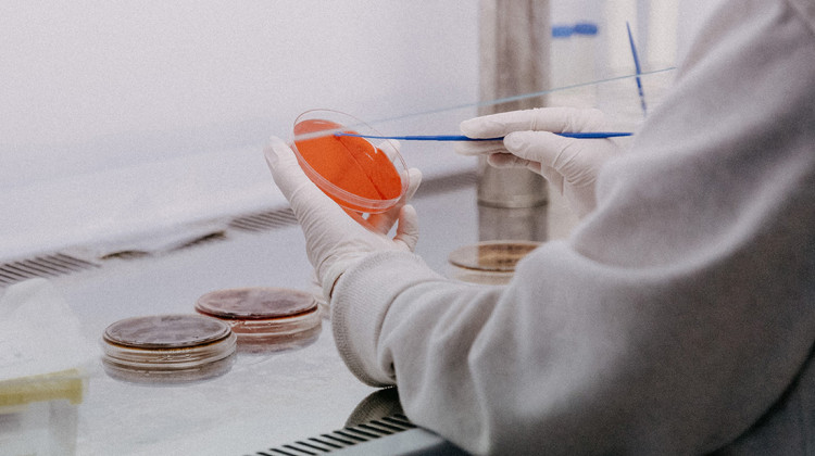 Trnava University-Unsplash Changes in Health Research