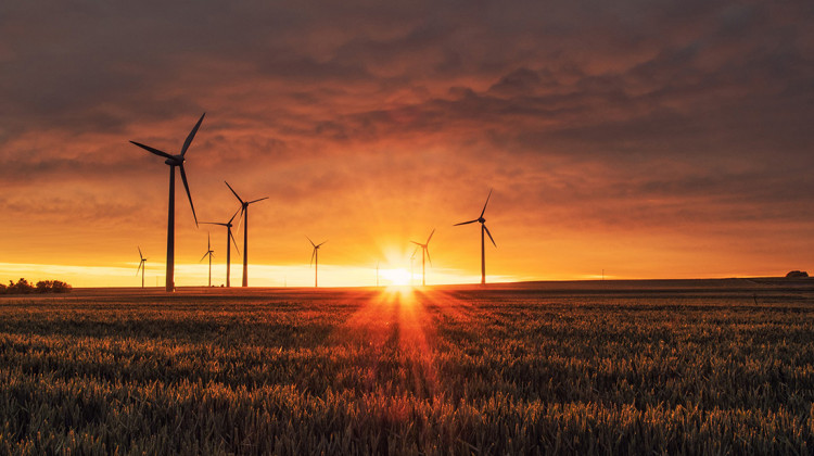 Karsten Wurth / Unsplash The Past, Present and Future of Environmental Issues in Indiana