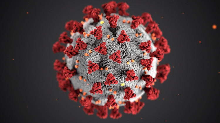 Illustration created by Centers for Disease Control and Prevention Indiana's Second Wave