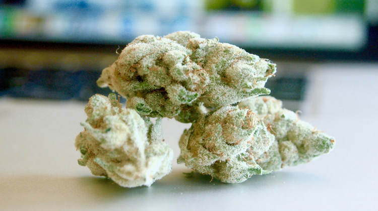 (Public Domain/Flickr) Marijuana Prosecution