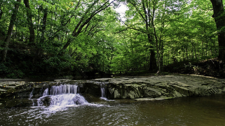 Indiana's Nature Preserves