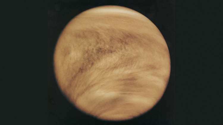 Venus