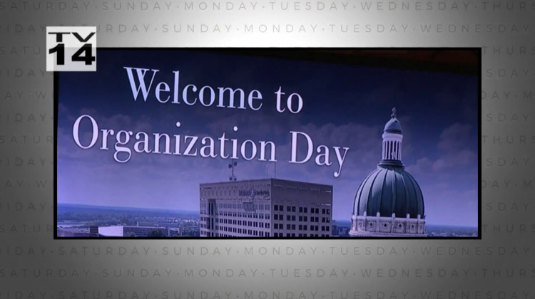 Organization Day Fireworks - November 20, 2020