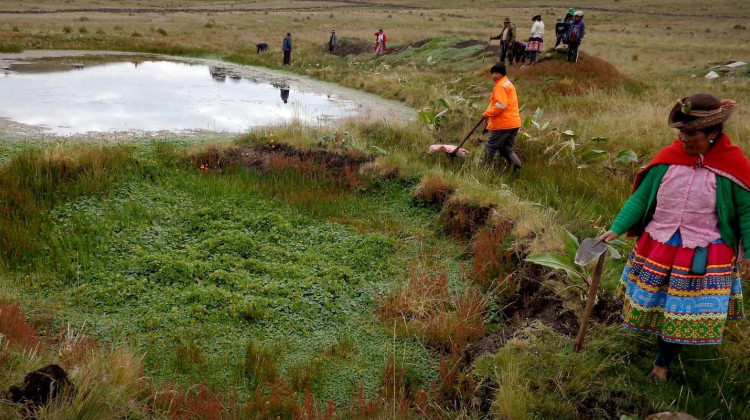 Building Lagoons to Harvest Rainwater
