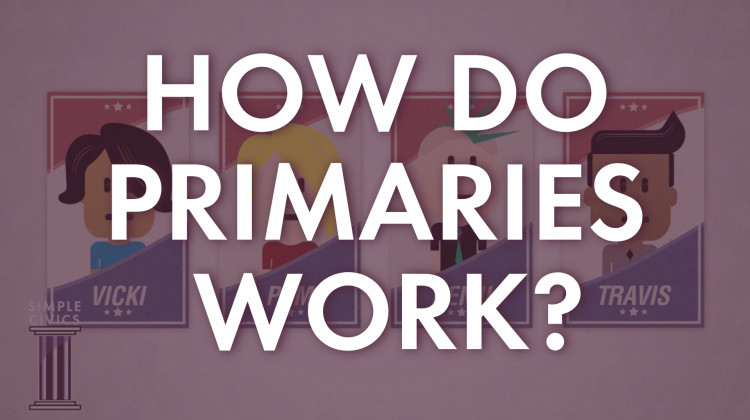 How Do Primaries Work?