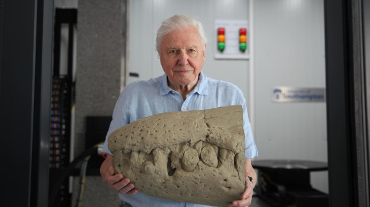 Attenborough and the Jurassic Sea Monster