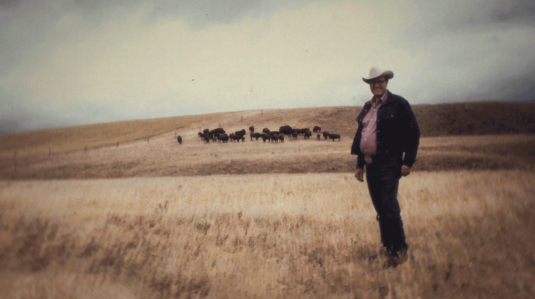 Mouse and the Buffalo