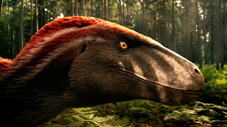 Utahraptors Hunting in the Forest