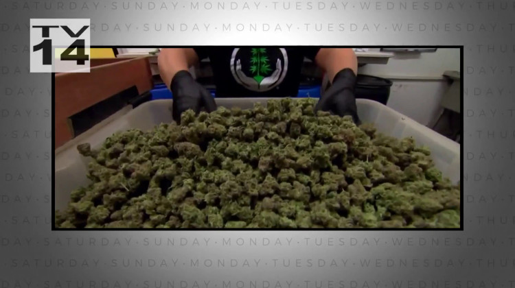 A New Push to Legalize Cannabis