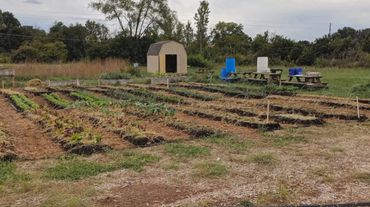 The Lawrence Community Gardens