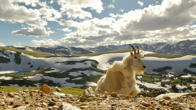 Growing Up | Born in the Rockies