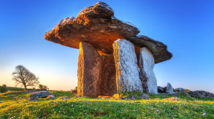 Wild Ireland: Kingdom of Stone