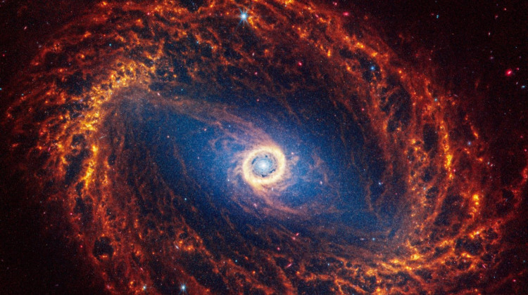 Decoding the Universe: Cosmos