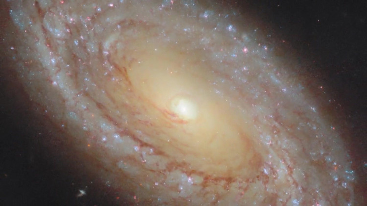 American Artist Reimagines Rocket Science via Octavia Butler