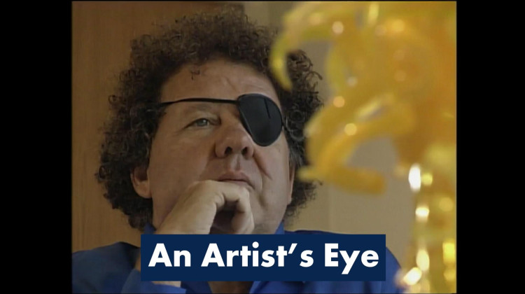 An Artist's Eye