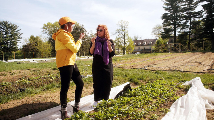 Eating Locally