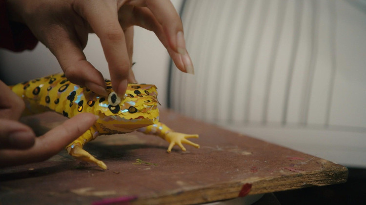 Special Species: Piñata Art Celebrates At-Risk Animals