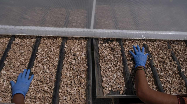 2023 Nominees: Build a Waste-Free World