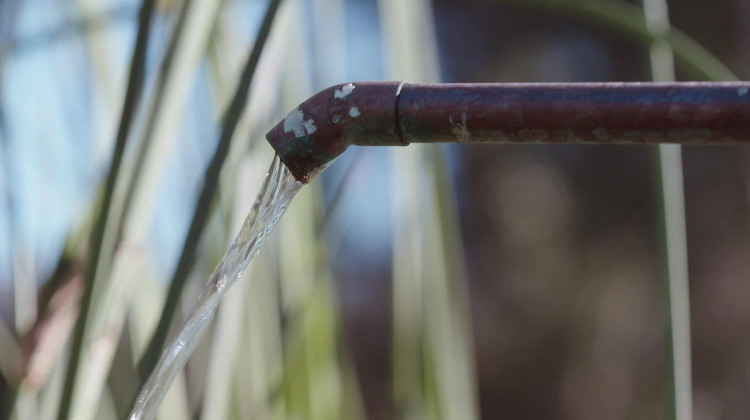 Lauren Bon Restores Urban Land with LA River Water