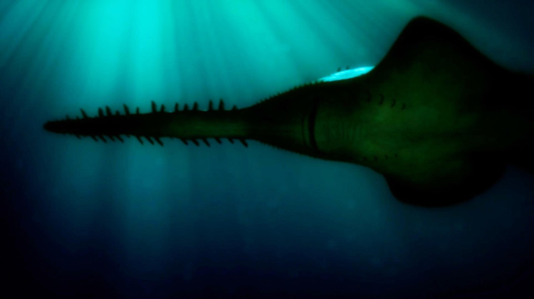 How a Spinosaurus Hunts to Feed His Young