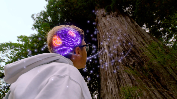 Tapping the Power of Awe Tapping the Power of Awe